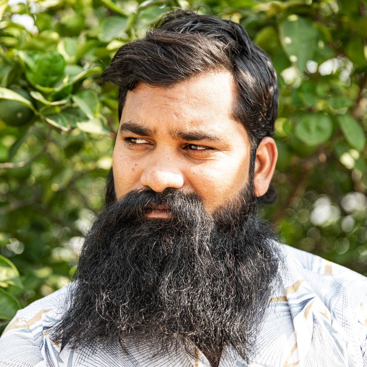 Beard Hair Piece (Per Graft)